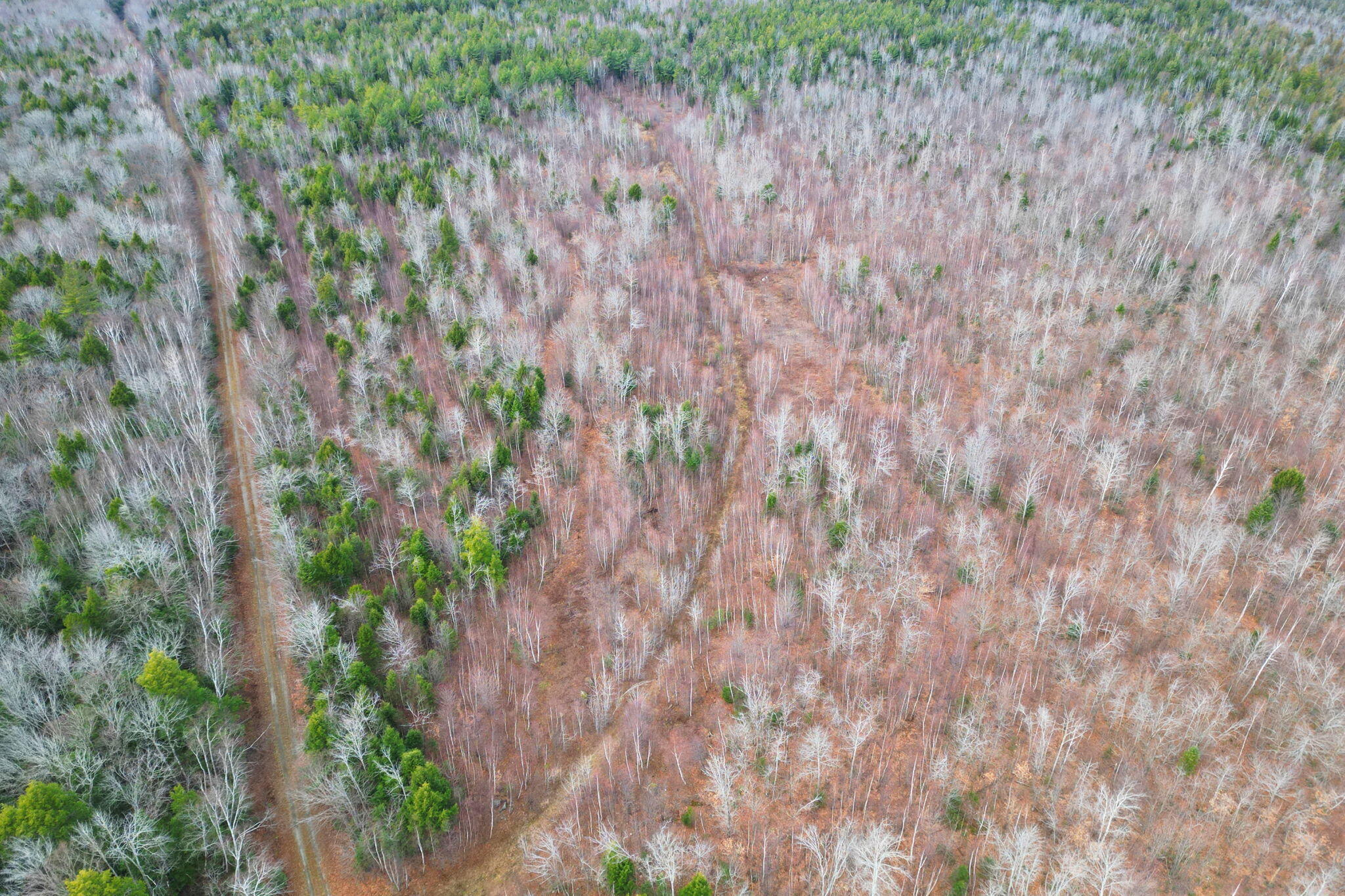 3 Map Road Old Town, ME 04468 - Photo 14 of 26