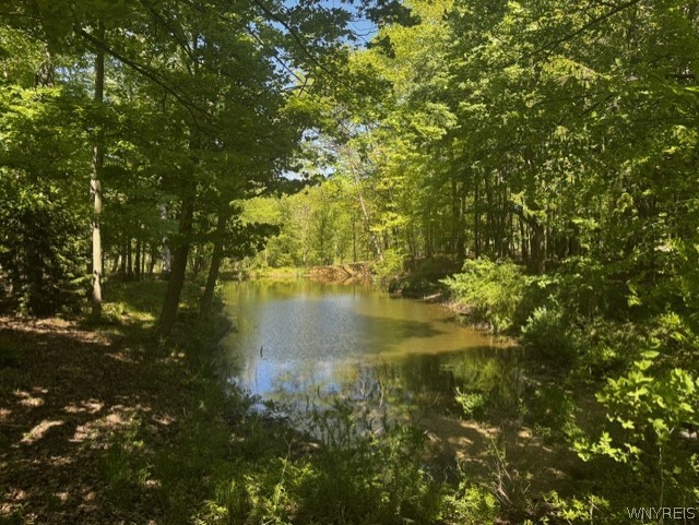 4233 Freeman Road Orchard Park, NY 14127 - Photo 49 of 50