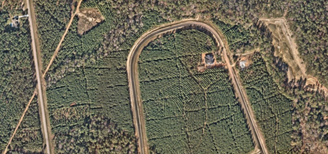 16270 Ridge Oak Road Willis, TX 77378 - Photo 7 of 9