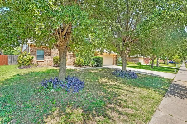 a view of garden with trees