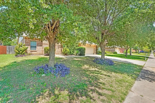a view of garden with trees