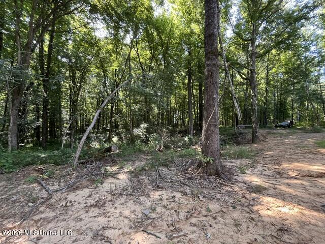 1970 Smart Road Como, MS 38619 - Photo 20 of 21 back view