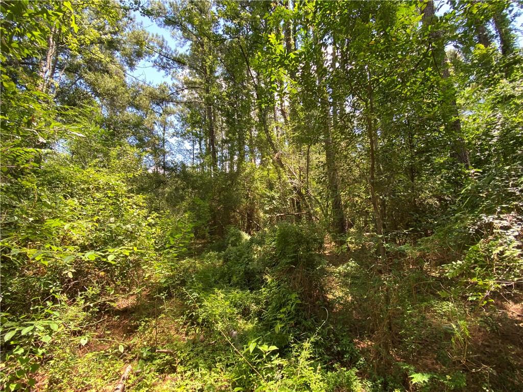 Tbd Tbd Flamenco Road Amite, LA 70422 - Photo 1 of 7