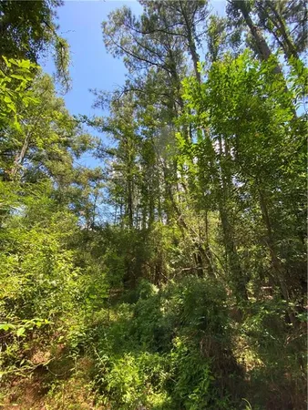 $50,000 | Tbd Tbd Flamenco Road, Amite, LA 70422