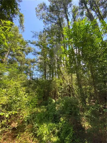 $50,000 | Tbd Tbd Flamenco Road, Amite, LA 70422