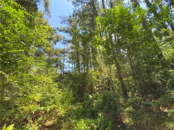 $50,000 | Tbd Tbd Flamenco Road, Amite, LA 70422