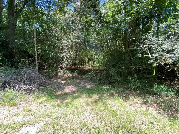 $50,000 | Tbd Tbd Flamenco Road, Amite, LA 70422