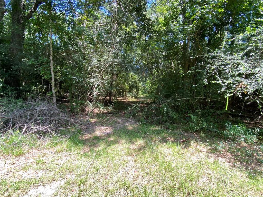 Tbd Tbd Flamenco Road Amite, LA 70422 - Photo 4 of 7