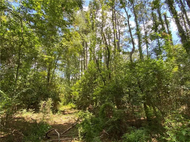 $50,000 | Tbd Tbd Flamenco Road, Amite, LA 70422