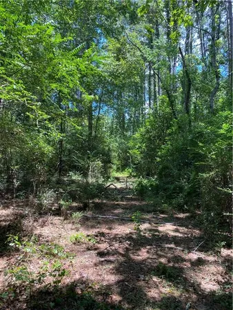 $50,000 | Tbd Tbd Flamenco Road, Amite, LA 70422