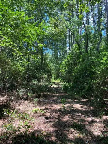 $50,000 | Tbd Tbd Flamenco Road, Amite, LA 70422