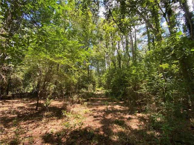 $50,000 | Tbd Tbd Flamenco Road, Amite, LA 70422