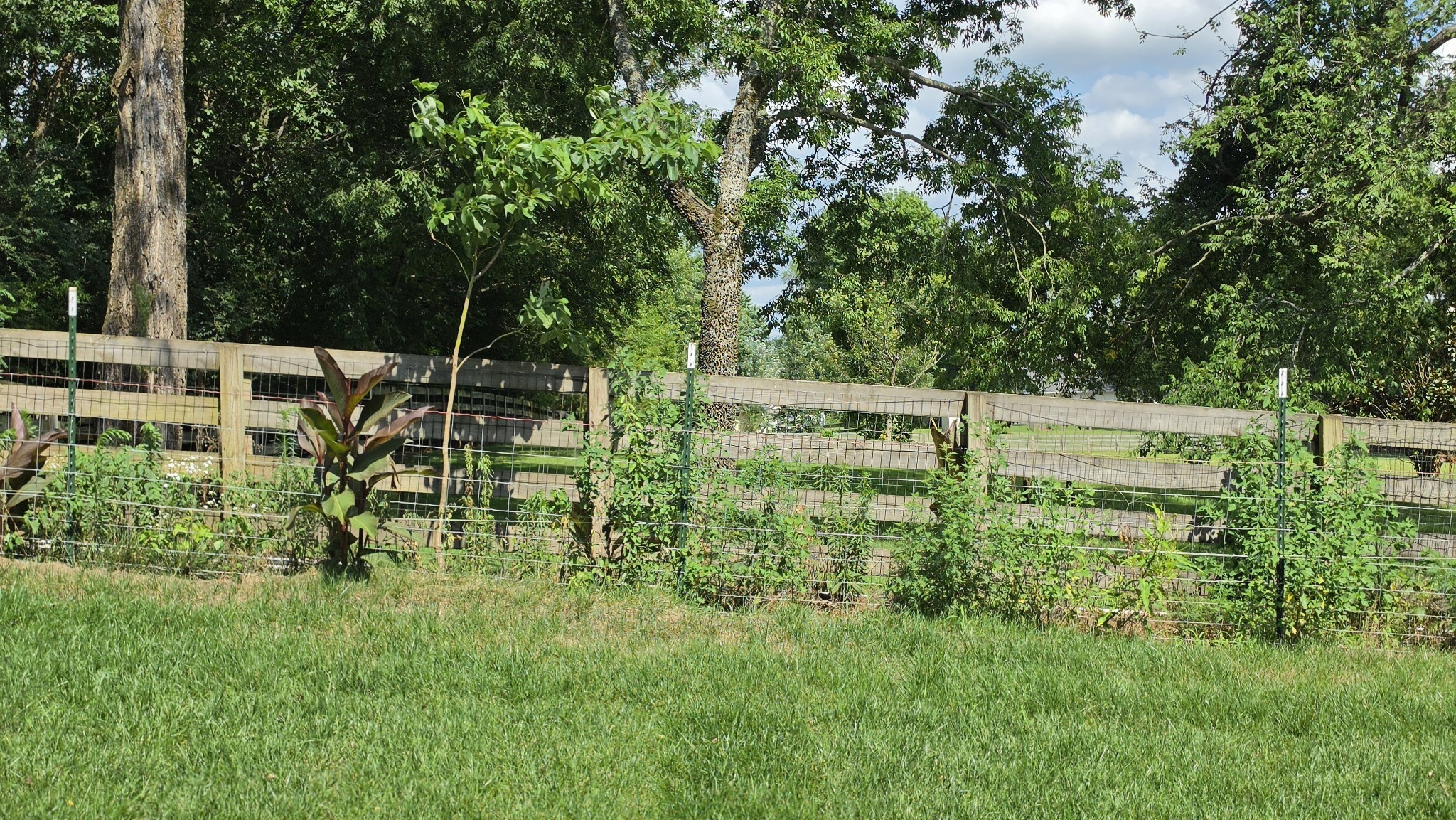 1924 Harmony Road Spring Hill, TN 37174 - Photo 56 of 58 Gallery Image 56