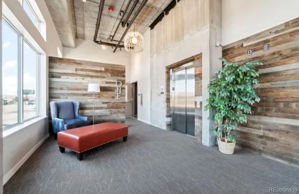 a room with furniture and a potted plant