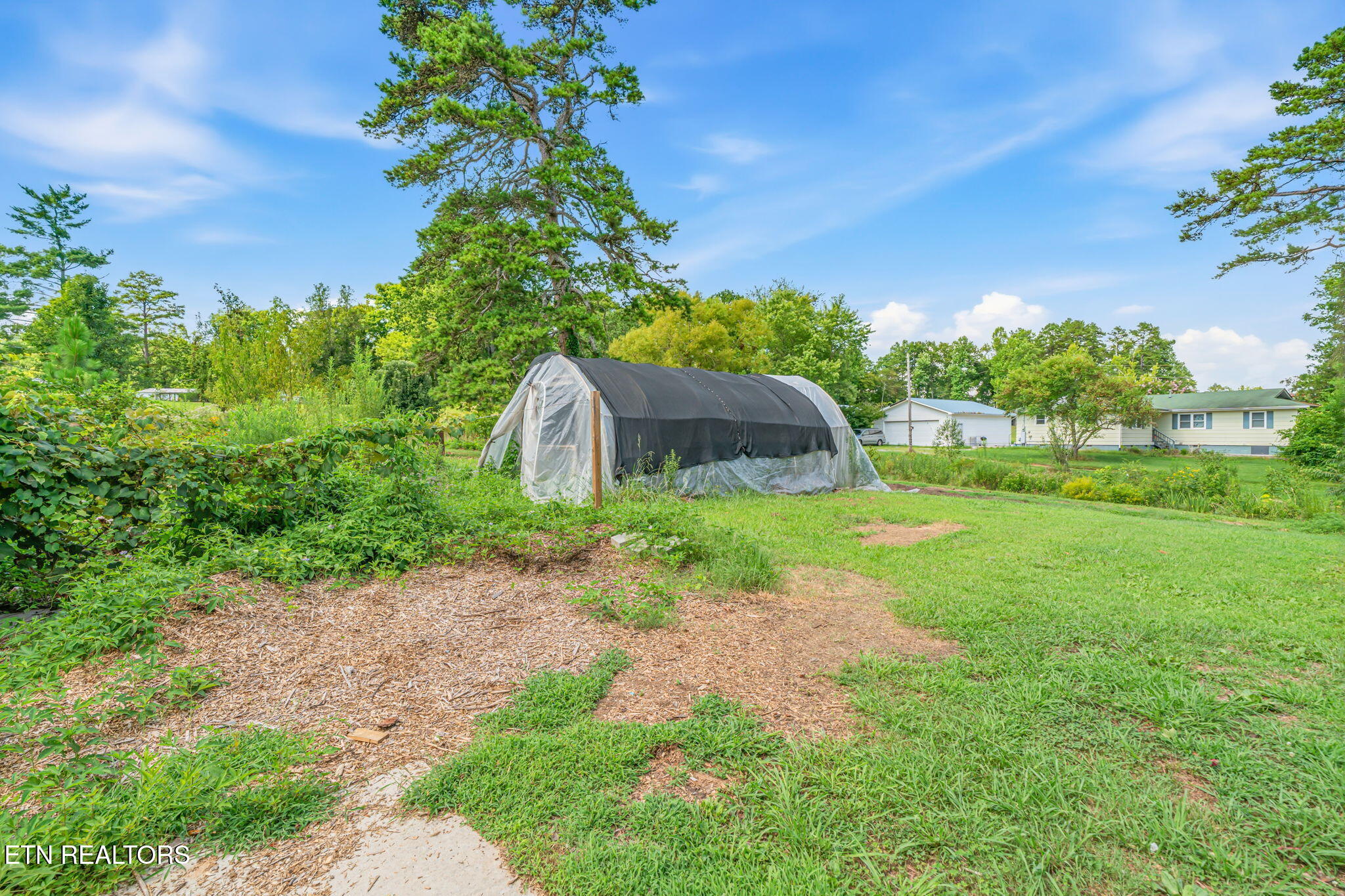 231 Wright Road Oliver Springs, TN 37840 - Photo 8 of 38 8-web-or-mls-231 Wright Road-7
