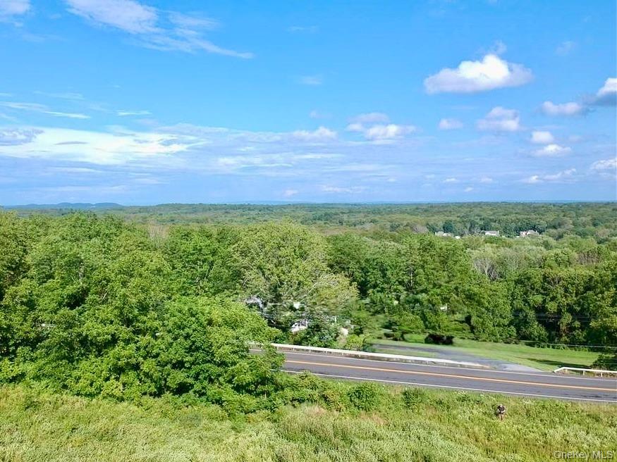 Lot #4 Mountain Road Port Jervis, NY 12771 - Photo 2 of 47 a view of a yard with an outdoor space