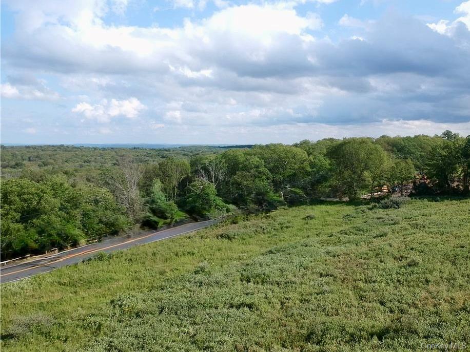 Lot #4 Mountain Road Port Jervis, NY 12771 - Photo 3 of 47 a view of a big yard with lots of green space