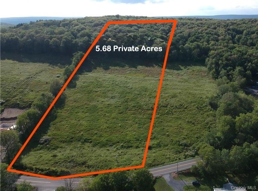 Lot #4 Mountain Road Port Jervis, NY 12771 - Photo 45 of 47 a view of a forest with a lake