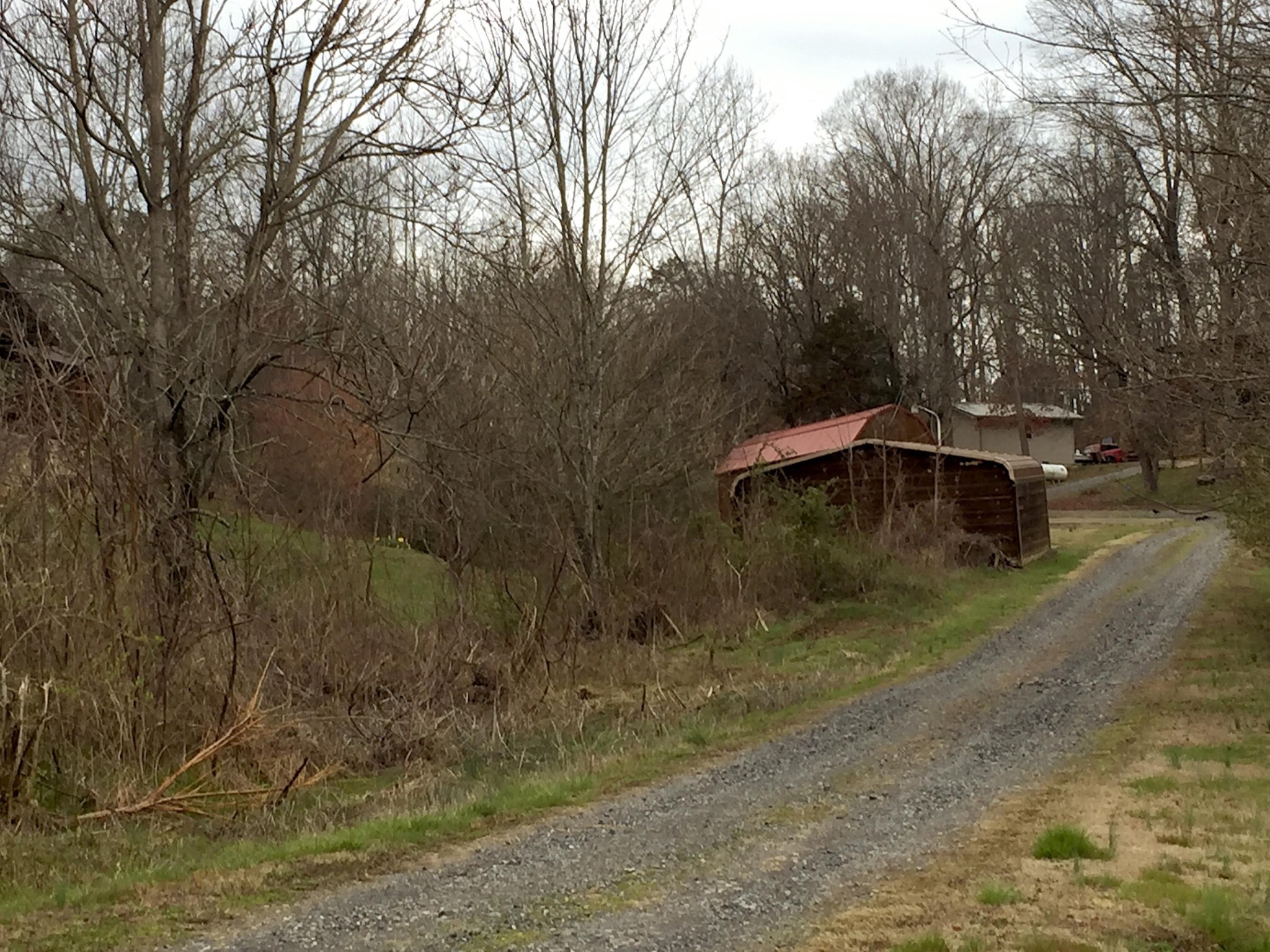 1736 Mountain Ridge Road Newport, TN 37821 - Photo 18 of 18 a fire hydrant in the middle of a field