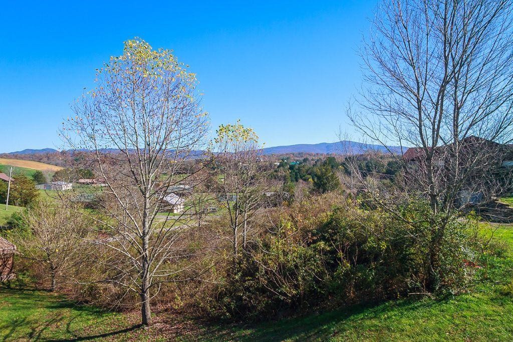 1736 Mountain Ridge Road Newport, TN 37821 - Photo 5 of 18 a view of a dry yard with large trees
