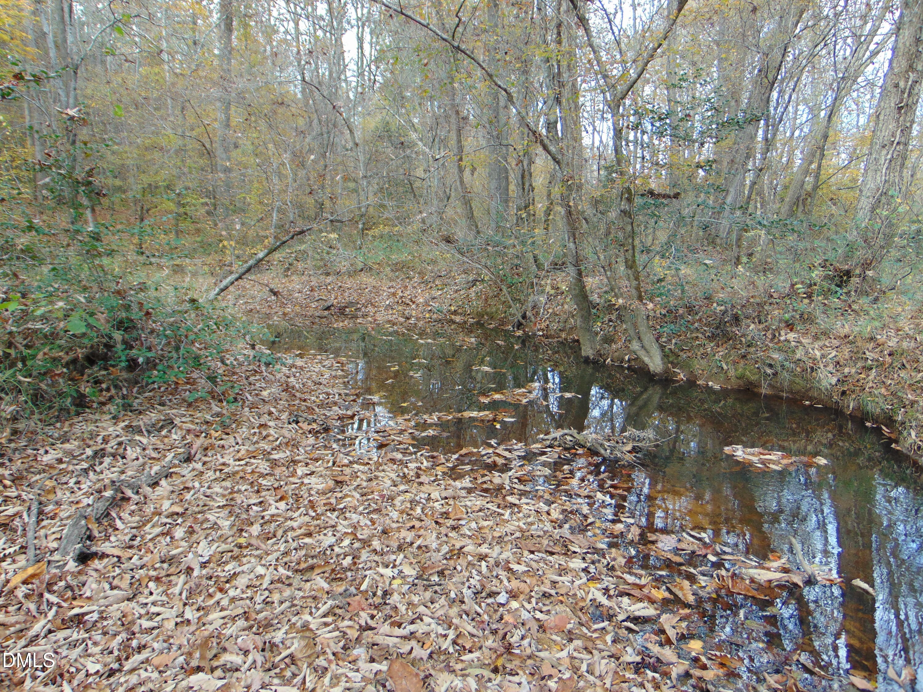 0 Big Woods Road Macon, NC 27551 - Photo 19 of 28