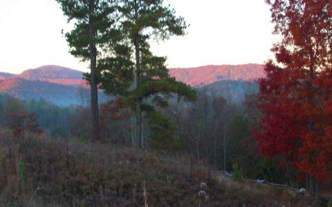 Main View
