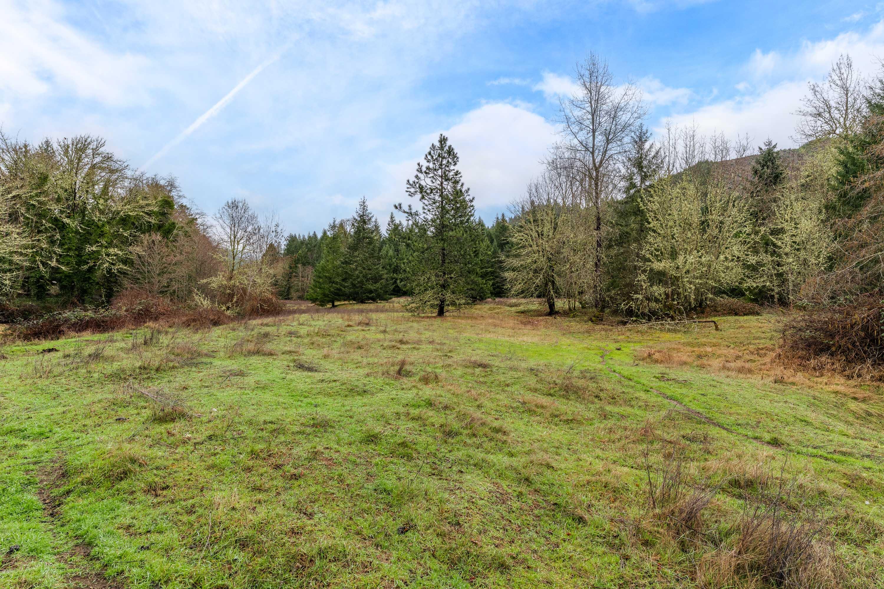 0 Upper Cow Creek Road Azalea, OR 97410 - Photo 10 of 28 EXT2 (3 of 19)