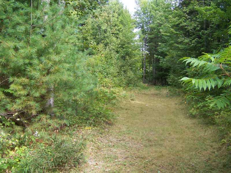 279 Shady Nook Road Newfield, ME 04095 - Photo 1 of 14 Land.