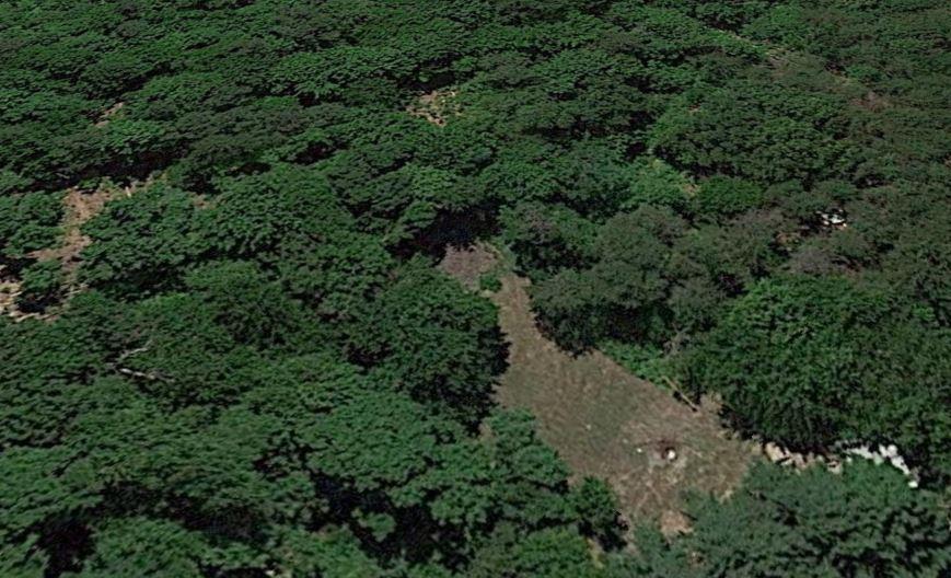 Vincent Road Spencer, TN 38585 - Photo 1 of 4 Aerial shot of property2