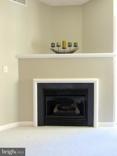 851 North Glebe Road, Unit 1603 Arlington, VA 22203 - Photo 13 of 16 Gas Fireplace
