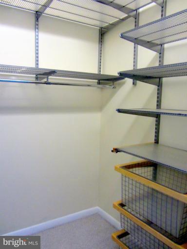 851 North Glebe Road, Unit 1603 Arlington, VA 22203 - Photo 14 of 16 Master Bedroom Closet