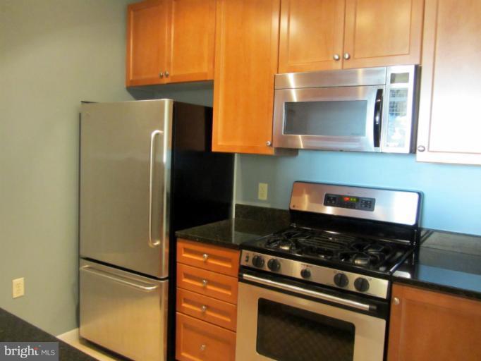851 North Glebe Road, Unit 1603 Arlington, VA 22203 - Photo 4 of 16 Kitchen