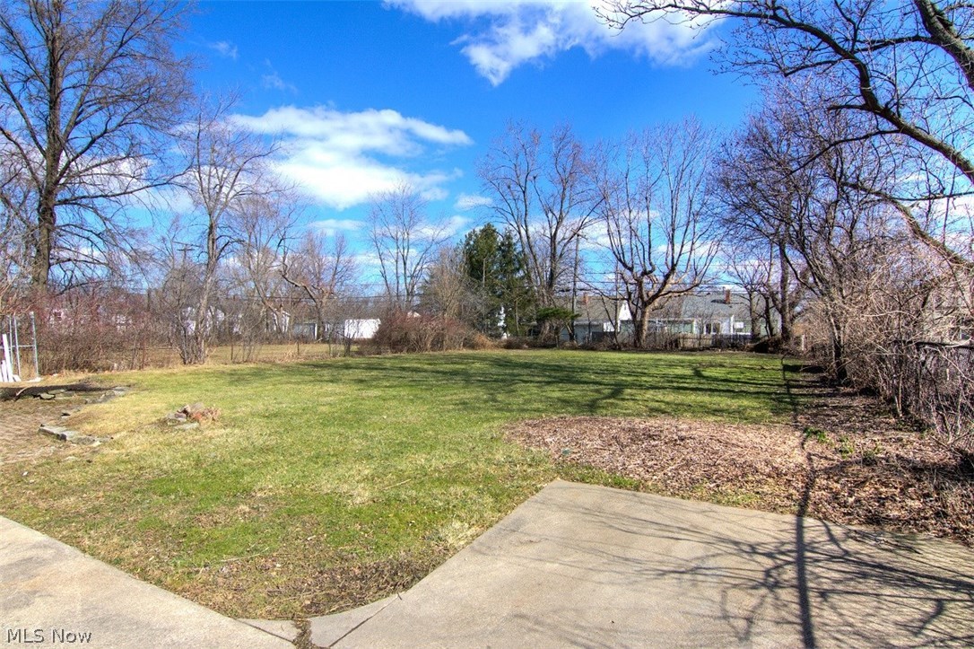 1619 Richmond Road Cleveland, OH 44124 - Photo 19 of 21 This yard is HUGE!
