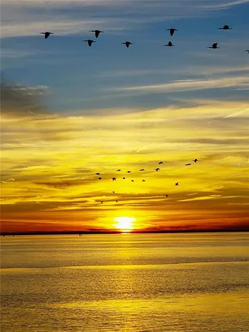 a view of a lake with a house