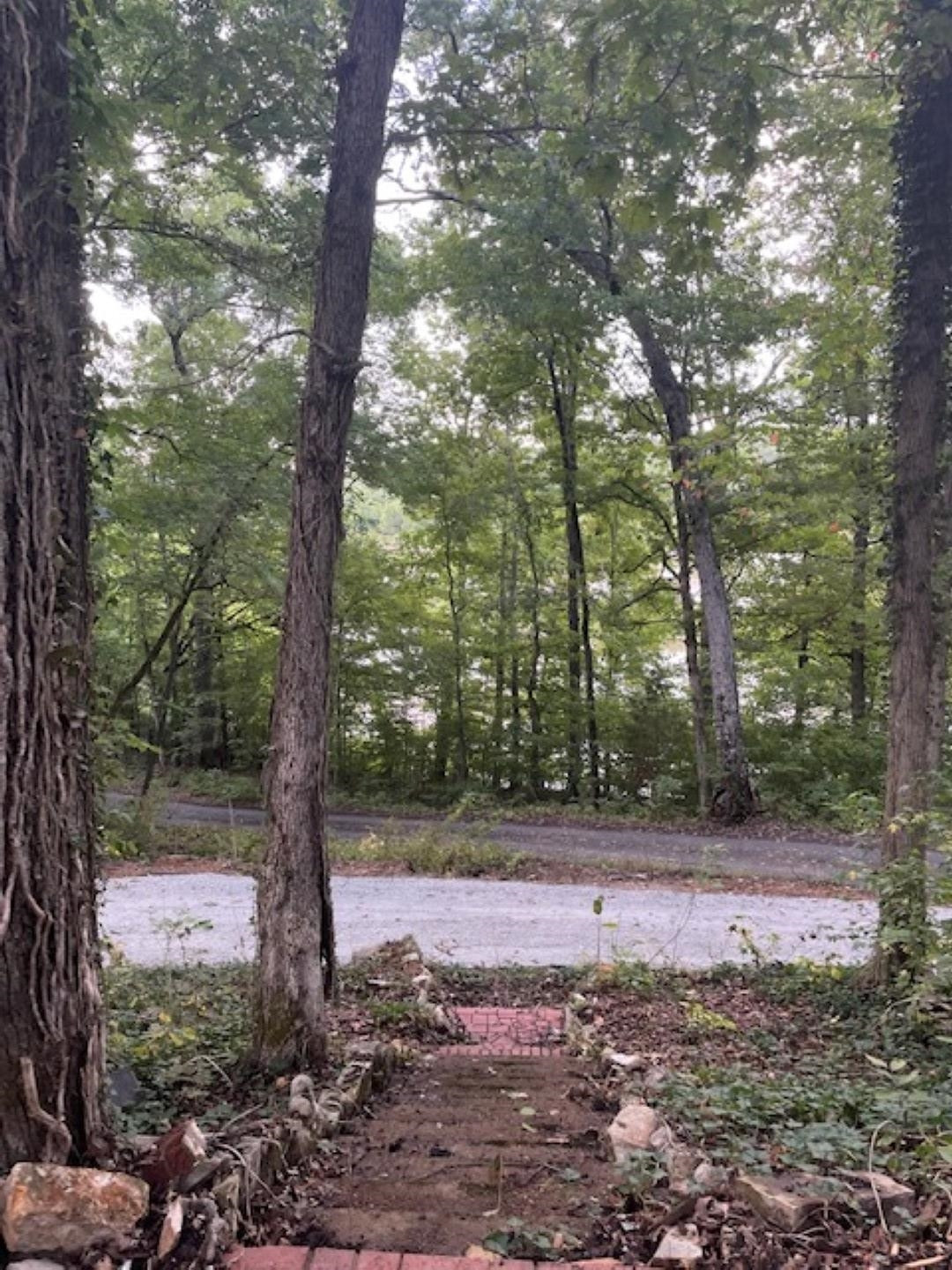 665 Little Jackson Road Parsons, TN 38363 - Photo 12 of 13 Photo 13