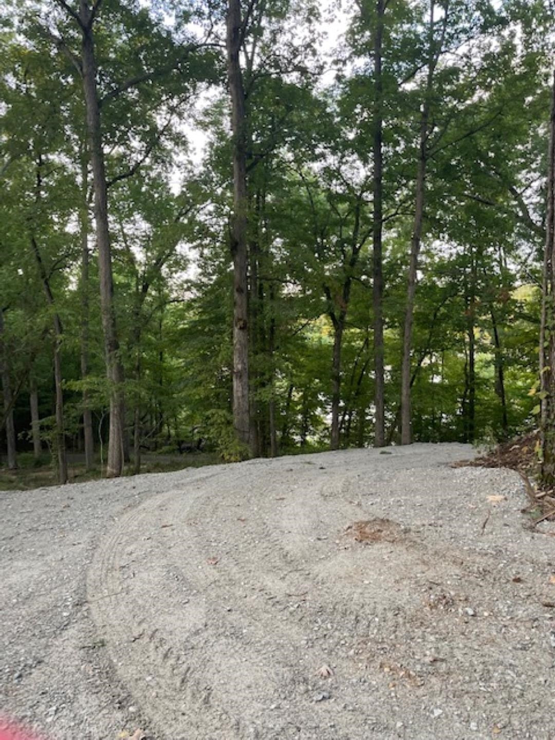 665 Little Jackson Road Parsons, TN 38363 - Photo 5 of 13 Photo 5