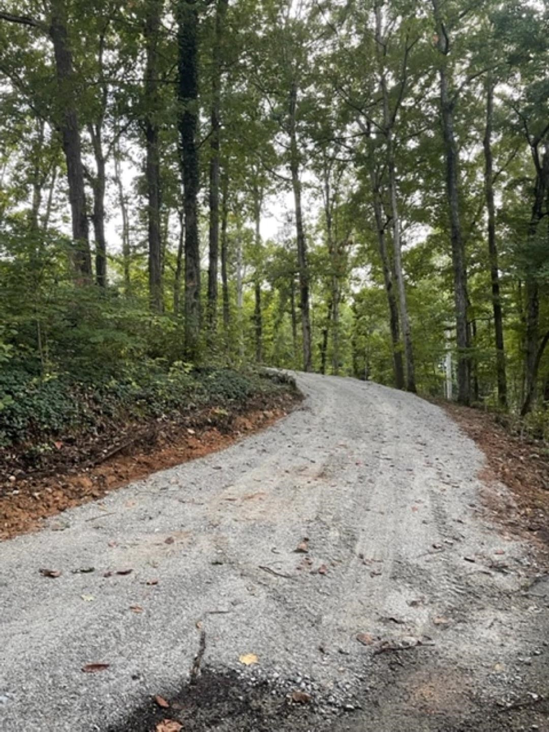 665 Little Jackson Road Parsons, TN 38363 - Photo 6 of 13 Photo 6