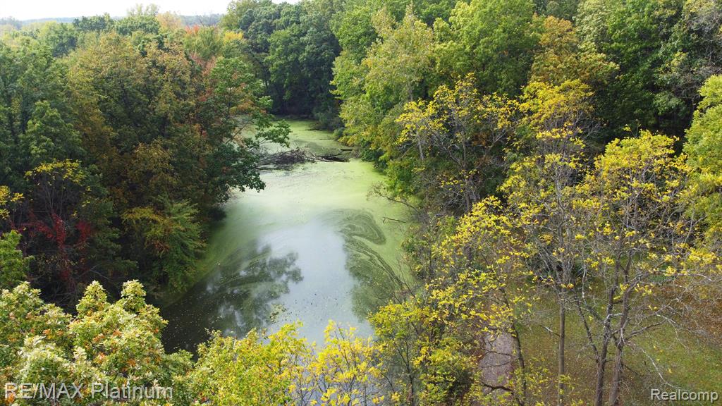 Vl Silverton Road Whitmore Lake, MI 48189 - Photo 10 of 10