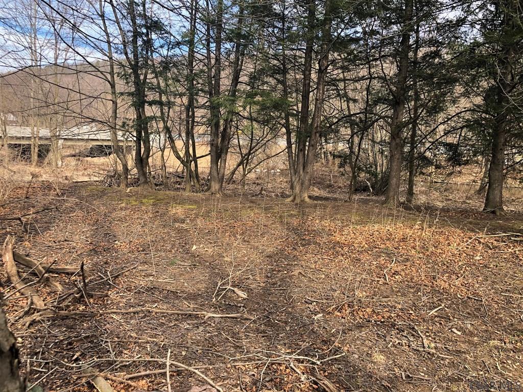 Reynoldsdale Road New Paris, PA 15554 - Photo 14 of 19 Gallery Image 14