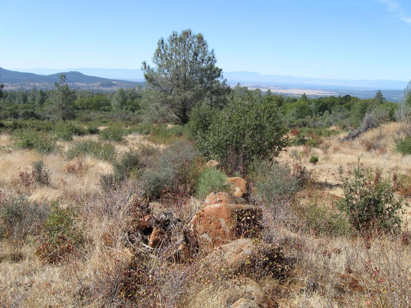 31720 Hazen Road Manton, CA 96059 - Photo 16 of 25 IMG_1019