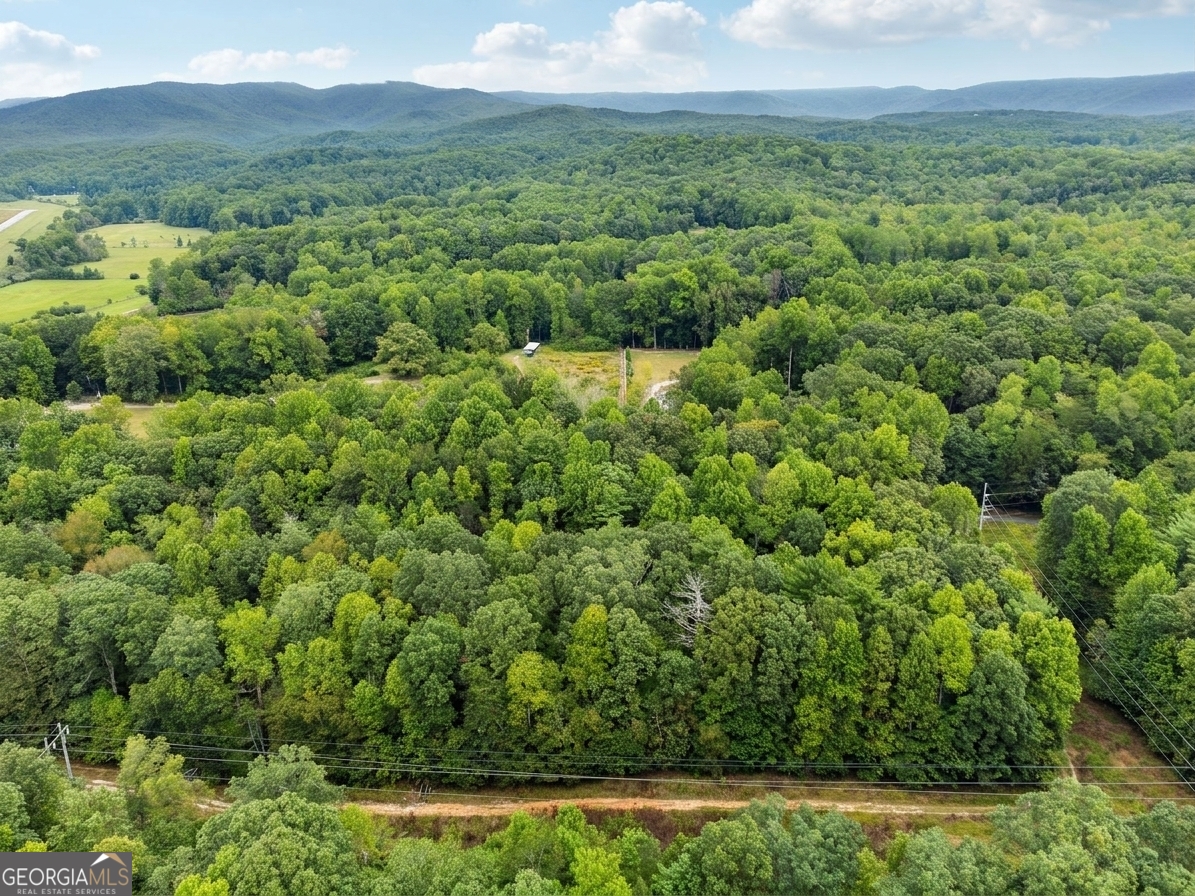 380 Guy Wimpy Road, Unit LOT 2 Dahlonega, GA 30533 - Photo 20 of 23