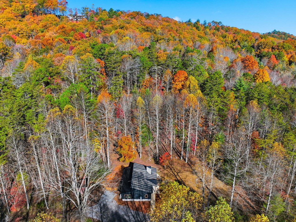 138 Cottonwood Lane Blue Ridge, GA 30513 - Photo 29 of 35 a view of yard