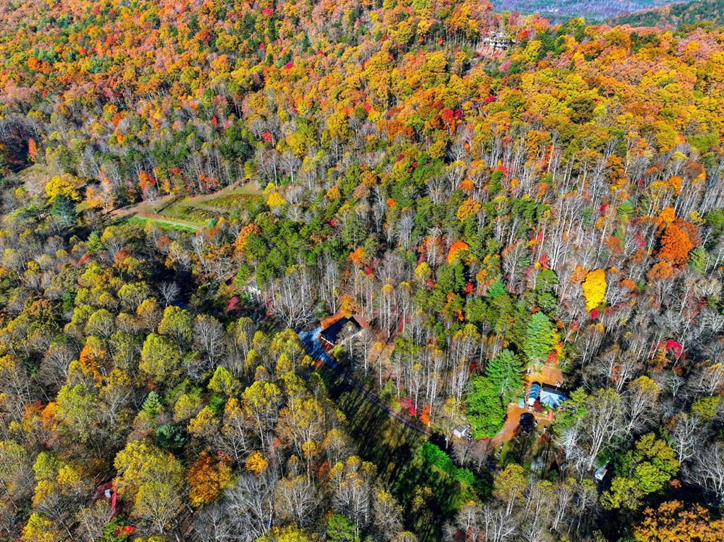 138 Cottonwood Lane Blue Ridge, GA 30513 - Photo 30 of 35 a view of a flowers