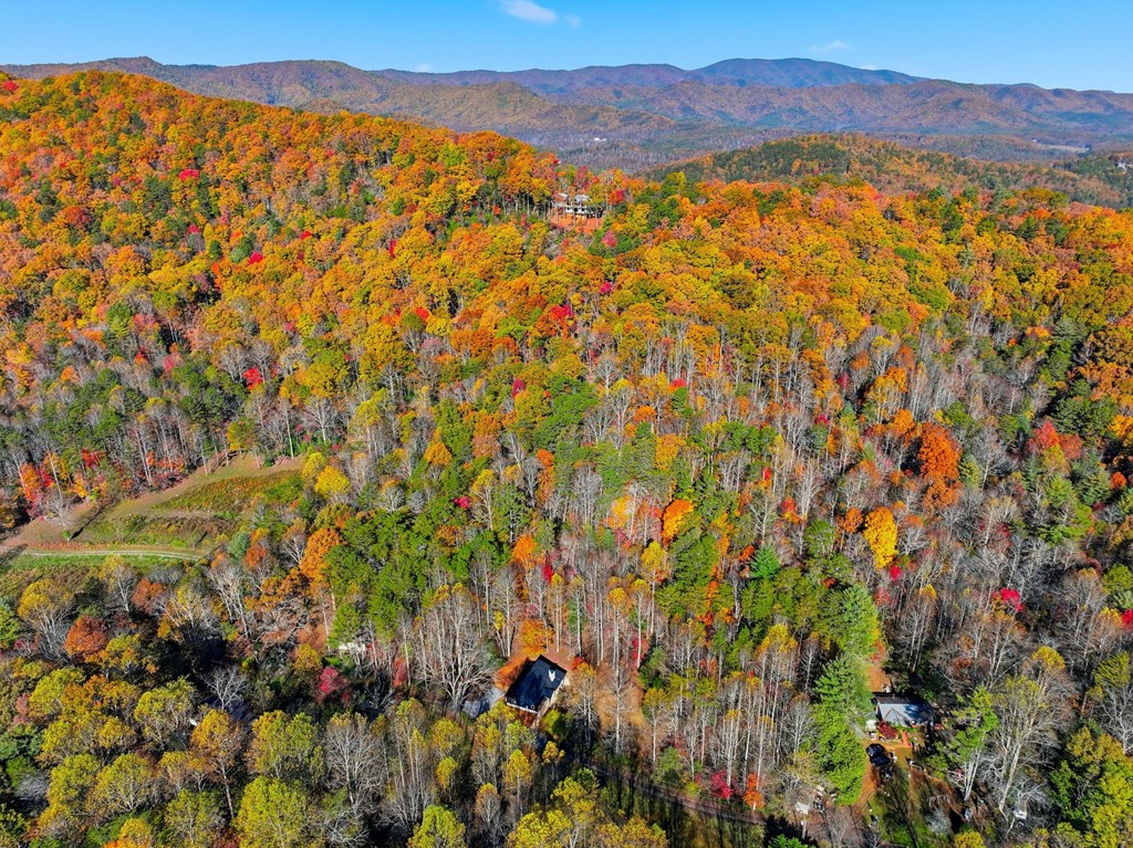 138 Cottonwood Lane Blue Ridge, GA 30513 - Photo 31 of 35 a view of a lush green hillside and a mountain
