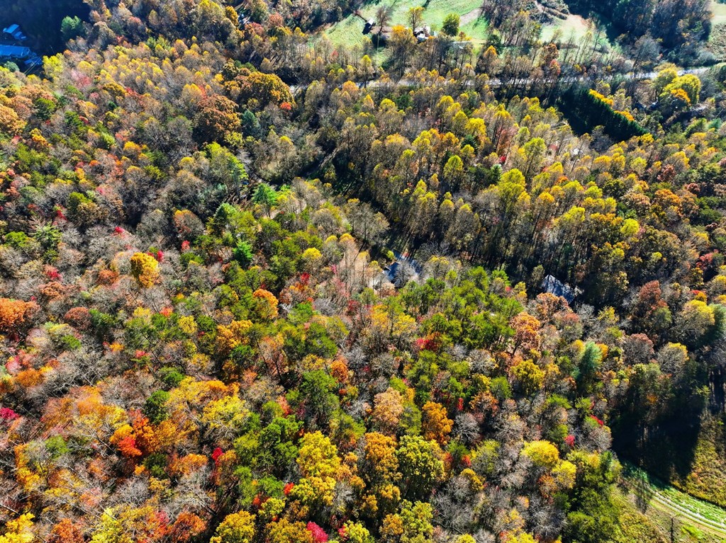 138 Cottonwood Lane Blue Ridge, GA 30513 - Photo 34 of 35 a view of a bunch of flowers