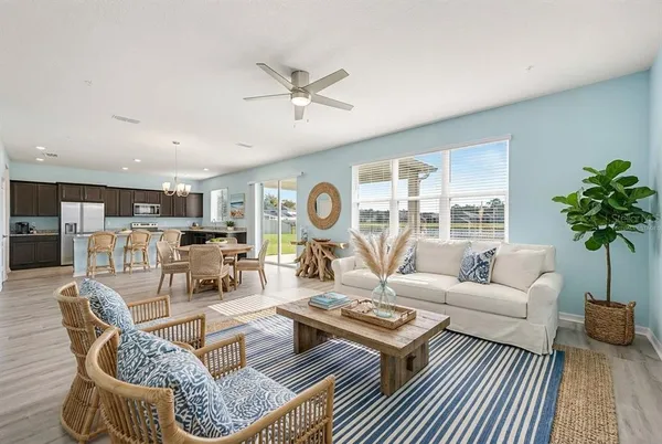 a living room with furniture a rug potted plant and a window