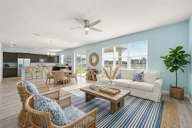 a living room with furniture a rug potted plant and a window