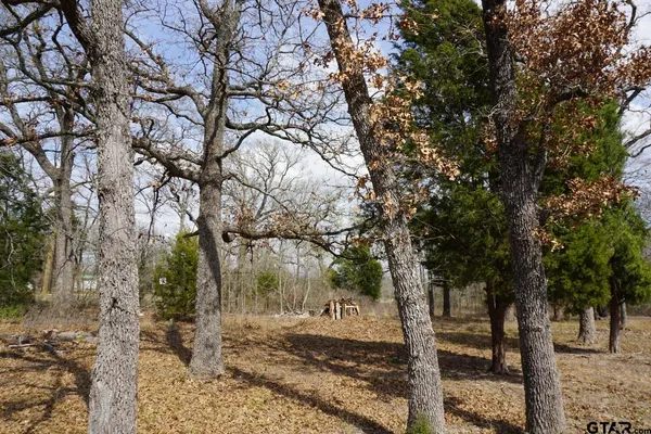 a view of a yard with trees