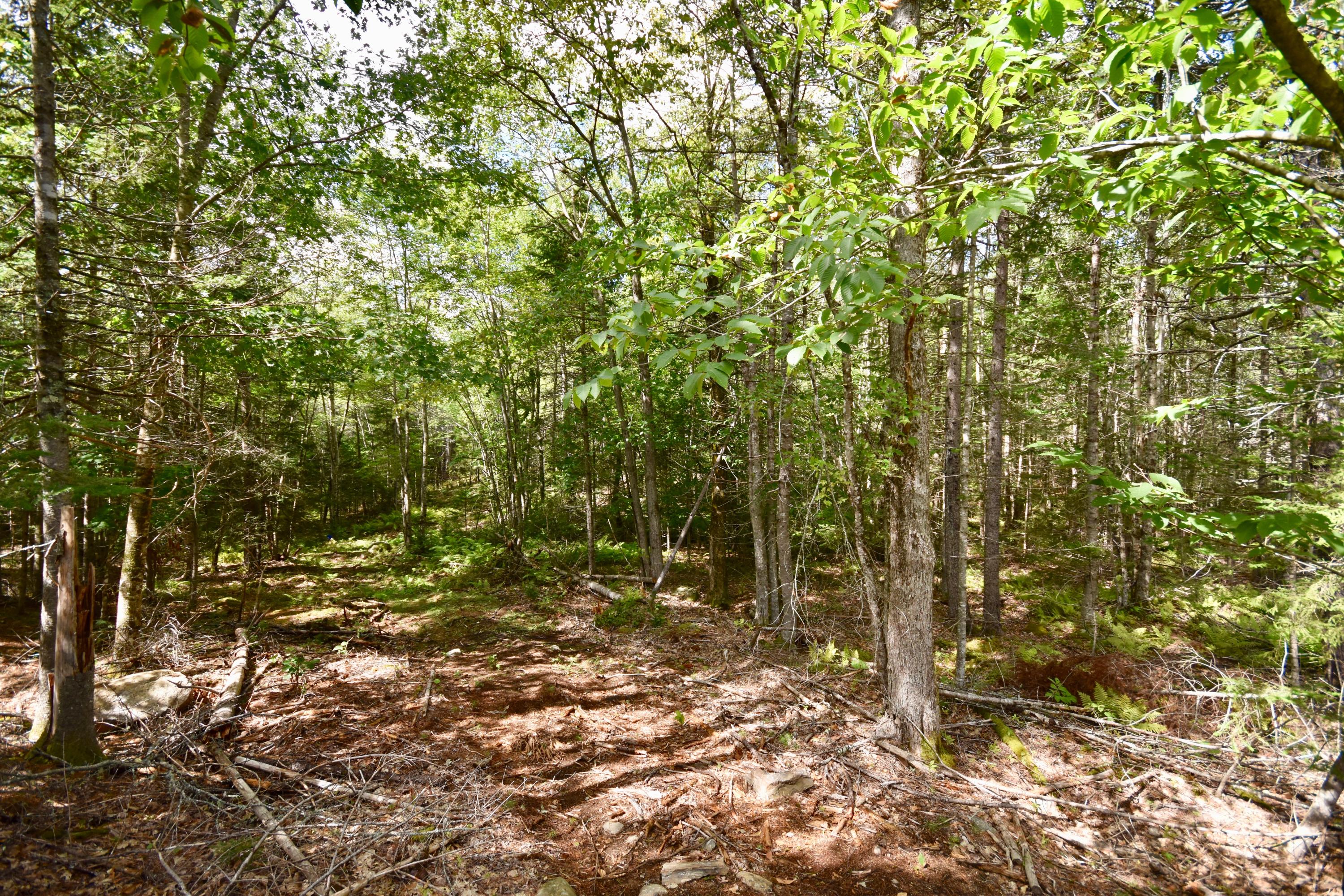 0 West Appleton Road Appleton, ME 04862 - Photo 10 of 13 DSC_0633