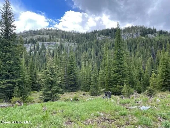 $1,120,000 | N 320-ac North 320-ac Shoot Creek Road, Kooskia, ID 83539